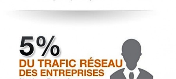 Megaupload en statistiques Megaupload en statistiques