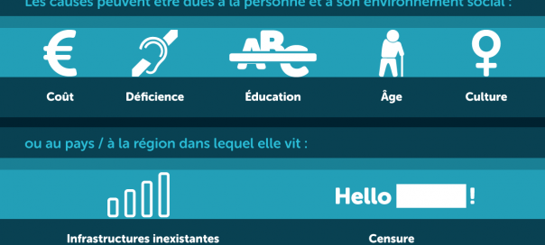 La fracture numérique, raisons et chiffres en infographie La fracture numérique, raisons et chiffres en infographie