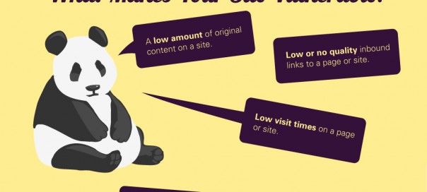 Google Panda : Impacts et points importants des filtres Google Panda : Impacts et points importants des filtres