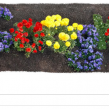 Google : Journée de la Terre (Earth Day) en doodle