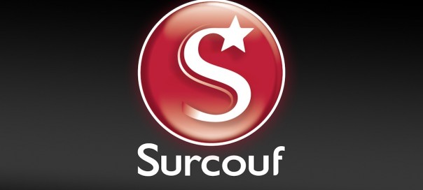 Surcouf : Enseigne (magasins et site internet) en vente