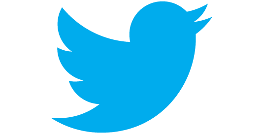 Twitter : Reset accidentel des mots de passe