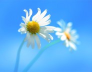Windows 8.1 : Présentation de la mise à jour