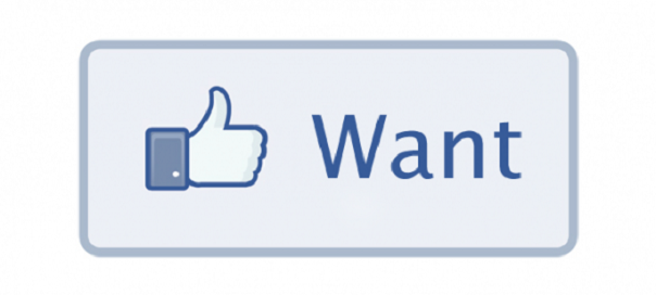 Facebook : Bouton Want pour sites e-commerce