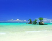 WebLife en vacances pour deux semaines