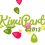 Kiwi Party 2013
