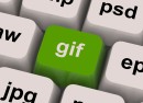 GIF : Format prononcé jif, et non guif ! GIF : Format prononcé jif, et non guif !