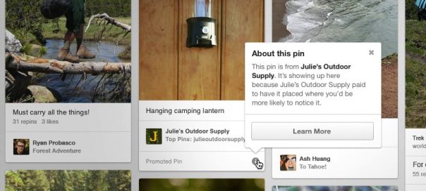 Pinterest : La publicité (Promoted Pins) en place