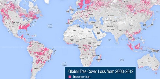 Visualisez la déforestation en temps réel avec le nouvel outil Google