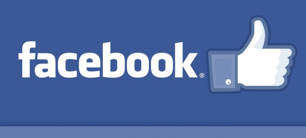 Etude : « J’utilise Facebook mais pas internet »