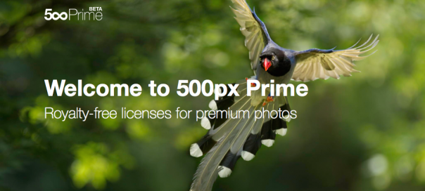 500px Prime : La plateforme de vente de photos est lancée