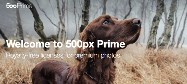500px Prime : Plateforme de vente de photos en version finale