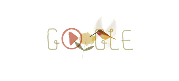 Google : Jour de la Terre 2014 avec le colibri roux