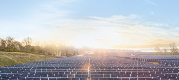 Apple : Plus de 40 hectares pour une ferme solaire