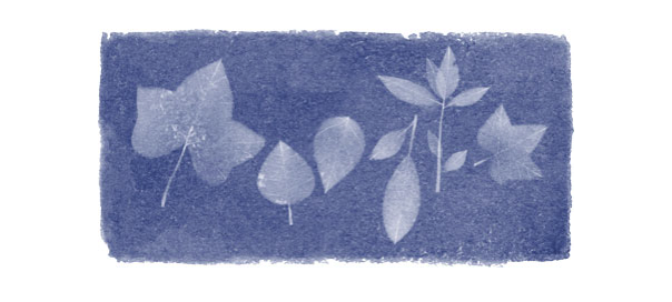 Google : La botaniste Anna Atkins & le cyanotype en doodle