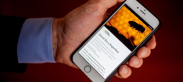 Facebook : Déploiement de Instant Articles sous iOS