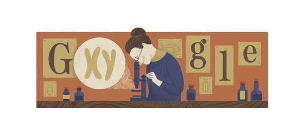 Google : Nettie Stevens et les chromosomes XY en doodle