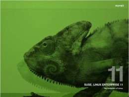 Suse Linux Enterprise Server 11