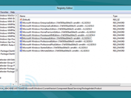 Version Windows 8, d'après le registre de la version Consumer Preview