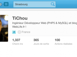 Foursquare : Biographie dans le profil