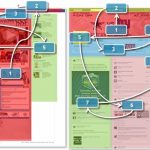 Eye Tracking de la page Facebook Timeline : Parcours internaute