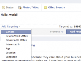 Facebook : Options de ciblage de publication sur les pages