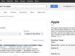 Google : Information nutritionnelle - Glucides d'une pomme