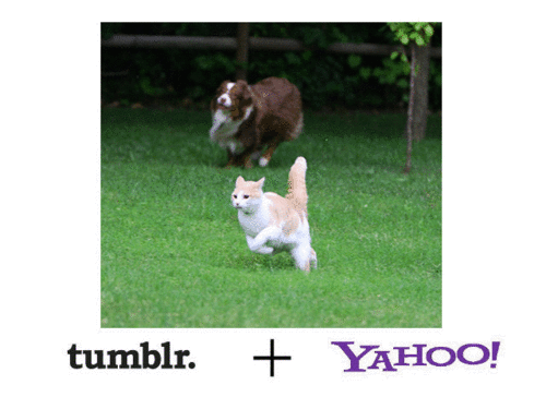 Yahoo : Rachat de Tumblr