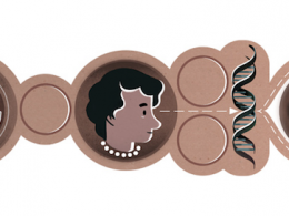 Google : Doodle Rosalind Franklin & ADN