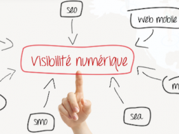 Visibilité Live Camp 2013 Visibilité Live Camp 2013