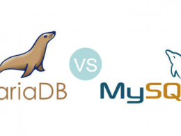 MariaDB vs MySQL