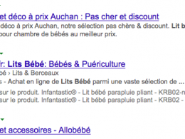 Google : Snippet - Domaines avant titre & description