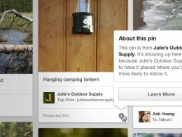 Pinterest : Promoted pins
