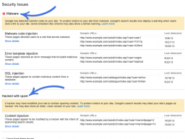 Google Webmaster Tools : Problèmes de sécurité
