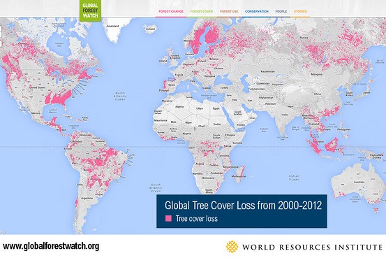 Global Forest Watch