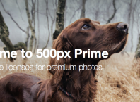 500px Prime