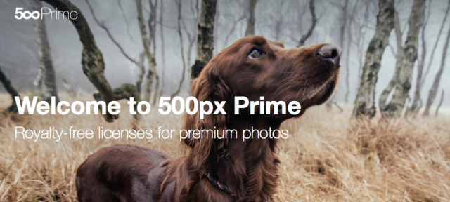 500px Prime