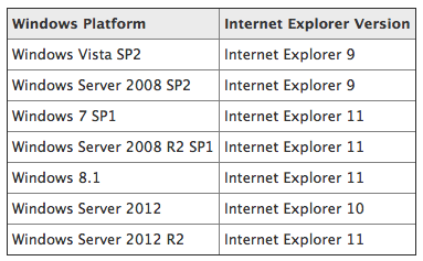 Internet Explorer Support