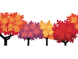 Google : Doodle Equinoxe d'automne avec feuilles