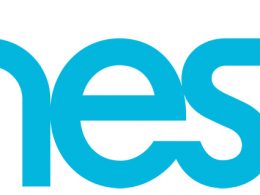 Logo Nest