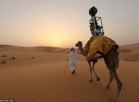 Google Street View : Dromadaire