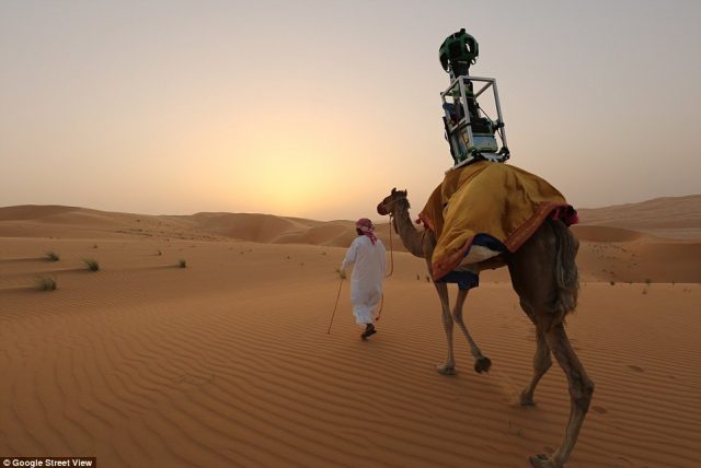 Google Street View : Dromadaire