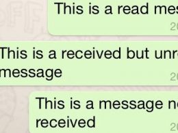 WhatsApp : Identification de lecture des messages