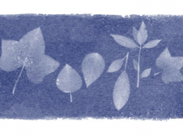 Google : Doodle Anna Atkins