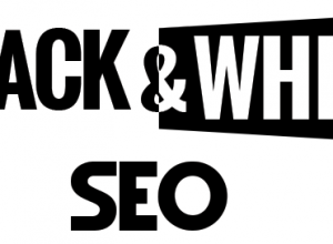 Logo Black and White SEO