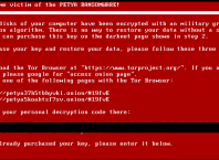 Petya Ransomware