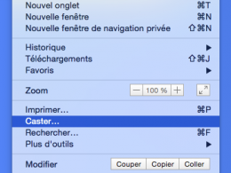Google Chrome : Caster