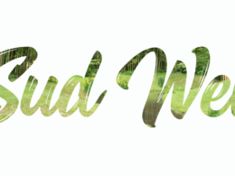 Sud Web 2018 Logo Sud Web