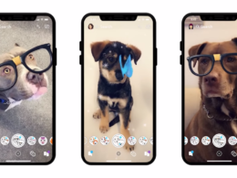 Snapchat : Lens pour chiens